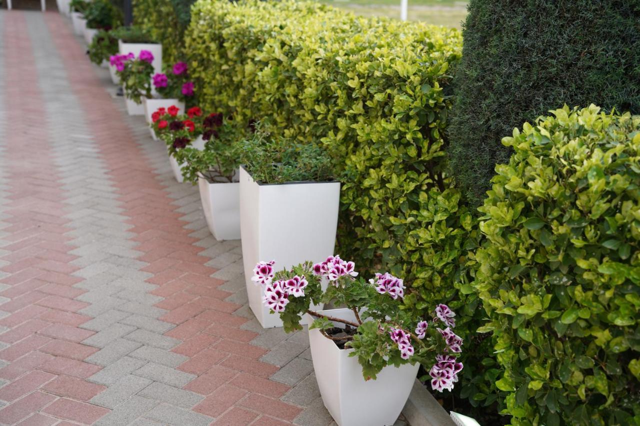 Apartments Costa Azzurra Velipojë المظهر الخارجي الصورة